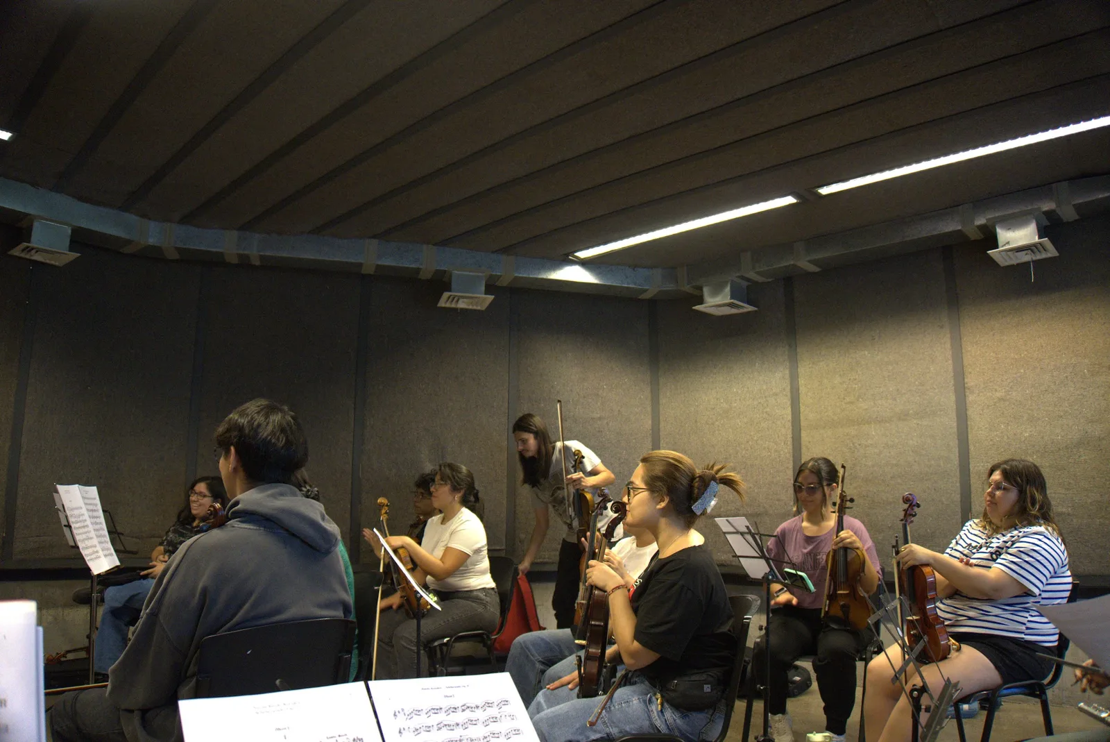 Violines